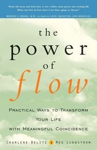 Produktbild: The Power of Flow