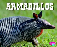 Produktbild: Armadillos