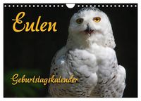 Produktbild: Eulen (Wandkalender 2026 DIN A4 quer), CALVENDO Monatskalender