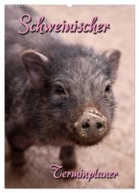 Produktbild: Schweinischer Terminplaner (Wandkalender 2027 DIN A2 hoch), CALVENDO Monatskalender