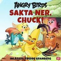 Produktbild: Angry Birds - Sakta ner, Chuck!