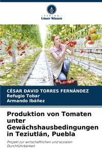 Produktbild: Produktion von Tomaten unter Gew&auml;chshausbedingungen in Teziutl&aacute;n, Puebla