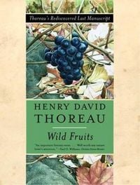 Produktbild: Wild Fruits