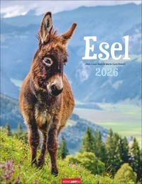 Produktbild Esel Kalender 2026