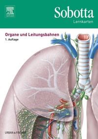 Produktbild: Sobotta Lernkarten Organe und Leitungsbahnen