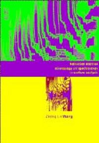Produktbild: Reflection Electron Microscopy and Spectroscopy for Surface Analysis
