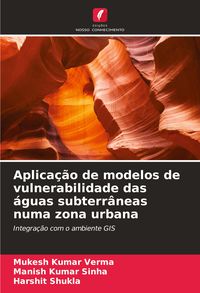 Produktbild: Aplica&ccedil;&atilde;o de modelos de vulnerabilidade das &aacute;guas subterr&acirc;neas numa zona urbana