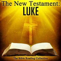 Produktbild: The New Testament: Luke