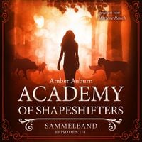 Produktbild: Academy of Shapeshifters - Sammelband 1