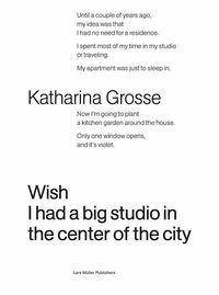 Produktbild: Katharina Grosse. Wish I Had a Big Studio in the Center of the City