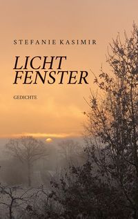 Produktbild: Lichtfenster