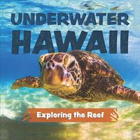Produktbild: Underwater Hawaii