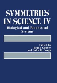 Produktbild: Symmetries in Science IV