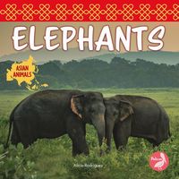 Produktbild: Elephants