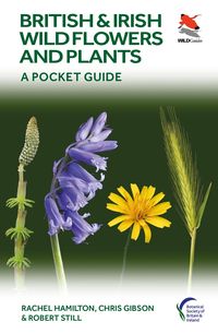 Produktbild: British and Irish Wild Flowers and Plants - A Pocket Guide