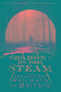 Produktbild: Brandon, D: Shadows in the Steam