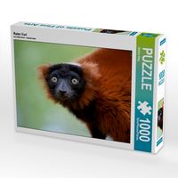 Produktbild: CALVENDO Puzzle Roter Vari | 1000 Teile Lege-Gr&ouml;&szlig;e 64x48cm Foto-Puzzle f&uuml;r gl&uuml;ckliche Stunden