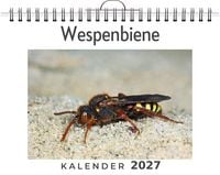 Produktbild: Wespenbiene