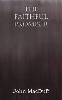 Produktbild: The Faithful Promiser
