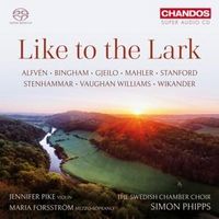 Produktbild: Like to the Lark