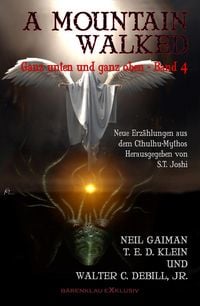 Produktbild: A MOUNTAIN WALKED - Ganz unten und ganz oben, Band 4