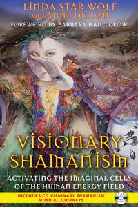 Produktbild: Visionary Shamanism