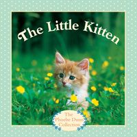 Produktbild: Little Kitten