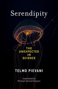 Produktbild: Serendipity