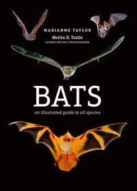 Produktbild: Bats