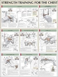 Produktbild: Delavier, F:  Strength Training for the Chest