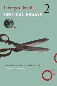 Produktbild: Critical Essays