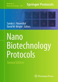 Produktbild: NanoBiotechnology Protocols