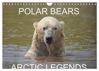 Produktbild: POLAR BEARS - ARCTIC LEGENDS (Wall Calendar 2026 DIN A4 landscape), CALVENDO 12 Month Wall Calendar
