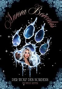 Produktbild: Aurora Borealis: Mitrei&szlig;ende und romantische Dark Fantasy Trilogie