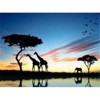 Produktbild: PRACHT Diamond Painting Afrika 50x40cm