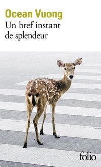 Produktbild: Un bref instant de splendeur