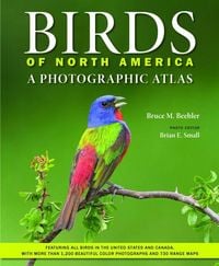 Produktbild: Birds of North America