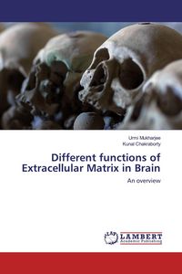 Produktbild: Different functions of Extracellular Matrix in Brain