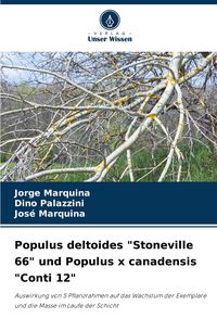 Produktbild: Populus deltoides "Stoneville 66" und Populus x canadensis "Conti 12"