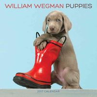 Produktbild: Wegman, W: William Wegman Puppies