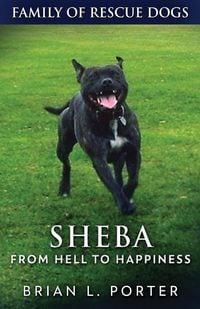 Produktbild: Sheba - From Hell to Happiness