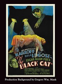 Produktbild: The Black Cat (hardback)