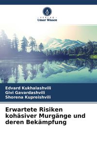 Produktbild: Erwartete Risiken koh&auml;siver Murg&auml;nge und deren Bek&auml;mpfung