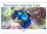 Produktbild: Meerestiere unter der Lupe - Unterwasserkalender (Tischkalender 2027 DIN A5 quer), CALVENDO Monatskalender