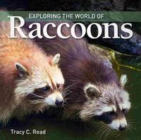 Produktbild: Exploring the World of Raccoons