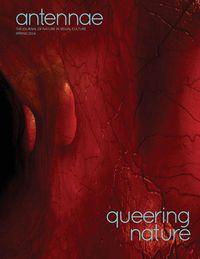 Produktbild: Antennae #63 Queering Nature #1