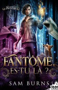 Produktbild: Fant&ocirc;me, es-tu l&agrave; ?