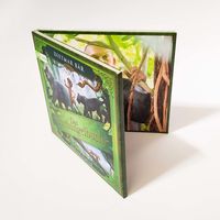 Das Dschungelbuch