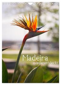 Produktbild: Madeira - wiederentdeckt (Wandkalender 2027 DIN A4 hoch), CALVENDO Monatskalender
