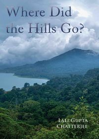 Produktbild: Where Did the Hills Go